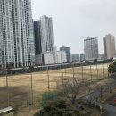 2021-08-0001 | 2020/12/01-2021/02/08 요요기 공원