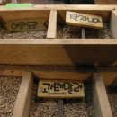 강릉커피박물관 이미지