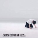 더 드리밍