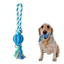 덴탈투유 이미지