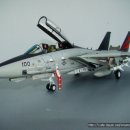 [하세가와]1/48 F-14A Tomcat Black Knight History 이미지