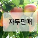 푸른초장농원 이미지