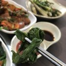 이박사쭈꾸미