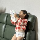 개월 | 흡수력 좋은 팸퍼스 팬티기저귀 샘플 31 개월 아기 사용 후기