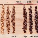 로스팅트리 이미지
