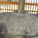 상주 사서 전식 신도비 이미지