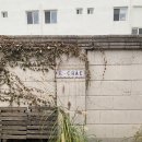 이채덕 | [서울] 이채 : 아기자기한 한옥 매력에 빠지는 안국 카페 (feat.외국인들 다들모여!)