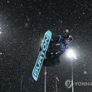 CORTINA 연합뉴스