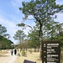 영릉로 이미지