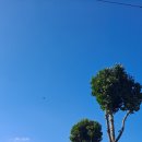 진상미로 이미지