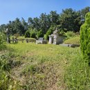 2025-9-11 와룡 김제조씨 묘역 조상님 산소 이발 이미지