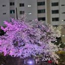 지에스25 천안원성천점 이미지