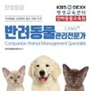 한국반려동물교육원 이미지