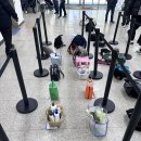 금곡 어린이공원 | 금곡공원 국민체육센터 | 첫번째 일요일에 자유수영하는 수영장 | 자유수영 후기