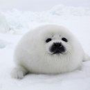 하프PC방 이미지