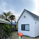 애월별땅 이미지