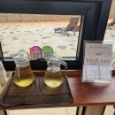 [완도카페] 신지 명사십리 근처 대형카페 루트66 내돈내산 후기