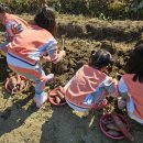 옥포초교 병설유치원 이미지