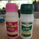 영봉농장 이미지