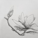 연필스케치와 꽃그림 이미지