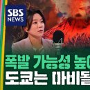 ﻿후지산 폭발 임박했을까…늘어나는 이상 징후 / SBS /김밥경제 이미지