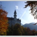 백조당구장 이미지