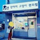 펫스토어24 - 광진구 용마산로1길 14 | 펫스토어24