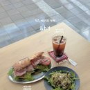 앱트
