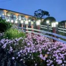 청산도 안단테 이미지