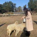 진선목장 이미지