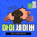 율하우리동물약국 | 김해 장유 율하2지구 사거리약국, 강아지 눈약 아이세이버! 결막염, 유루증 치료에 탁월!