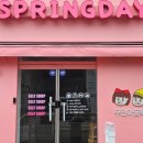 스프링데이제주점 이미지