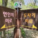 단산1천 이미지