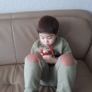 다윈약국 Daum카페