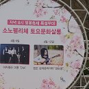 홍천대명비발디 소노펠리체벚꽃축제 이미지