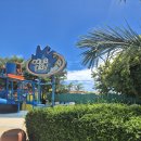 지에스25 사보이호텔점 | 세부 막탄 숙소 내돈내산 솔레아리조트 사보이 호텔 샹그릴라리조트 수영장 조식 후기