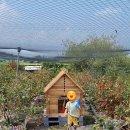 해와달농장 이미지