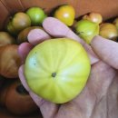 청북고등학교 | [청북 맛집] 올후레쉬 과일