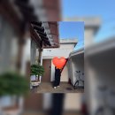 씨제이올리브영(주) 광주황금점 | 7. 8월은 어디 가고 개강이 왔냐