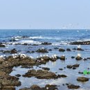 초지로2 이미지