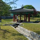 홍산객사 은행나무 | 충남 당진시 면천 가볼 만한 곳 면천읍성 남문, 은행나무, 면천객사 조종관, 영랑효공원, 면천 대숲바람길