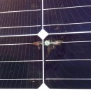 비전태양광 이미지