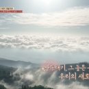 까르보네 티스토리