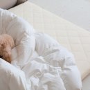 서광슈퍼 | 세인트블랑 3단접이식토퍼매트리스 사용 후기 실패하기싫음꼭보세요, 무조건필독!