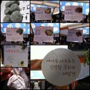 떡세상 이미지