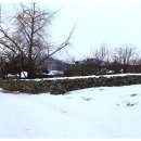 정다운마을 이미지