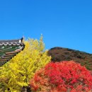 파아란공인중개사사무소 이미지