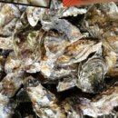 탁 수산 이미지