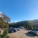 사격장길 | 경기도 사격테마파크 클레이사격 후기🎯