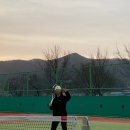 을숙도 테니스장 이미지